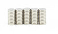 6x1 N55 round magnet ***Pack of 10***